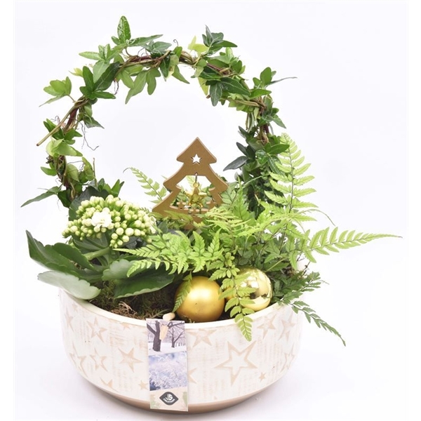 <h4>Arrangementen kamerplanten 6%</h4>