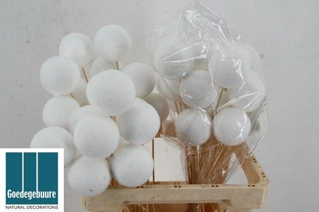 <h4>KERSTBAL OP STOK H%</h4>