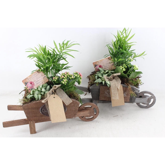 <h4>Arr2 Td - Houten Kruiwagen - Wit/roze</h4>