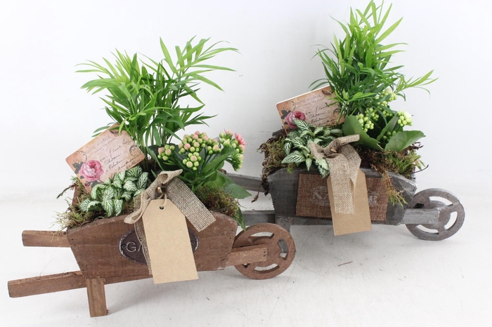 Arr2 Td - Houten Kruiwagen - Wit/roze