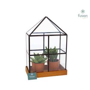 Glas Huisje met metaal met Succulenten
