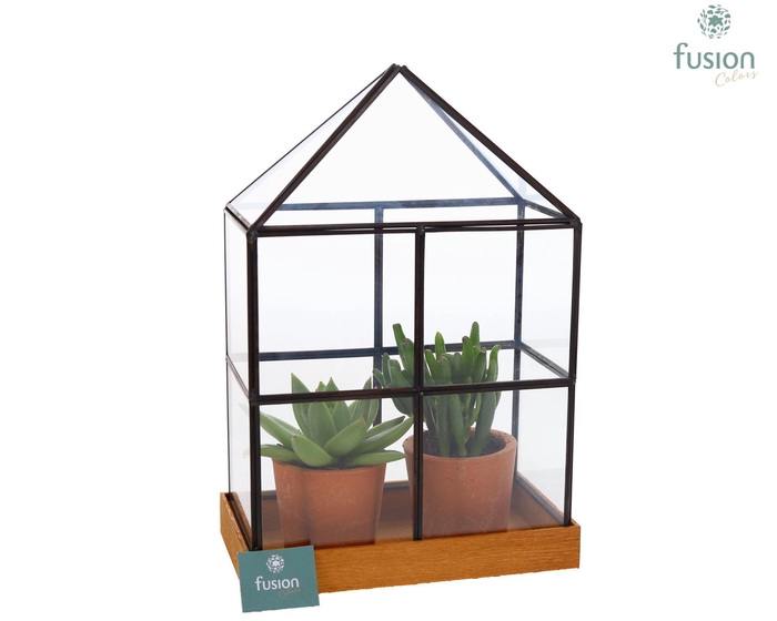 <h4>Glas Huisje met metaal met Succulenten</h4>