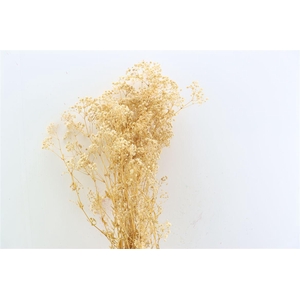 Pres Gyps Naturel 100gr Per Bunch