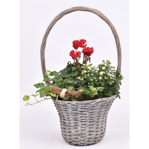 Wilg hengselmand 24cm