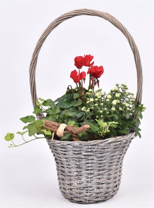 <h4>Wilg hengselmand 24cm</h4>