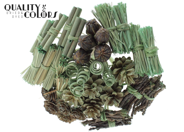 Bouquet Mix 40 stems Frosted Mint Green