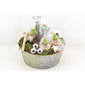 arr4 Hyacint VL - Zink rond L 2wax