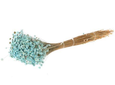 Bunch Glixia Slv 80g L40