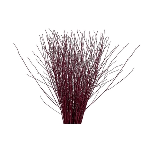 Berk 70cm Cerise Pbs