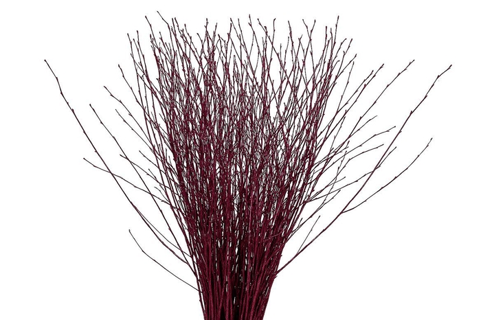 <h4>Berk 70cm Cerise Pbs</h4>