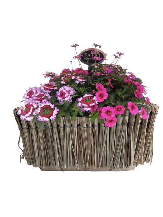<h4>Arr.   Perkplanten L%</h4>