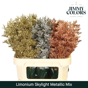 Limonium Skylight L80 Metallic mix