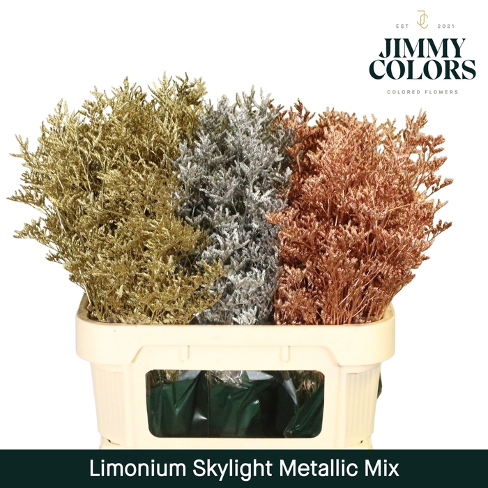 <h4>Limonium Skylight L80 Metallic mix</h4>