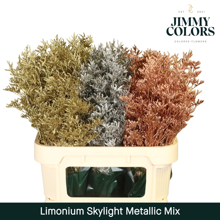 <h4>Limonium Skylight L80 Mtlc. mix</h4>
