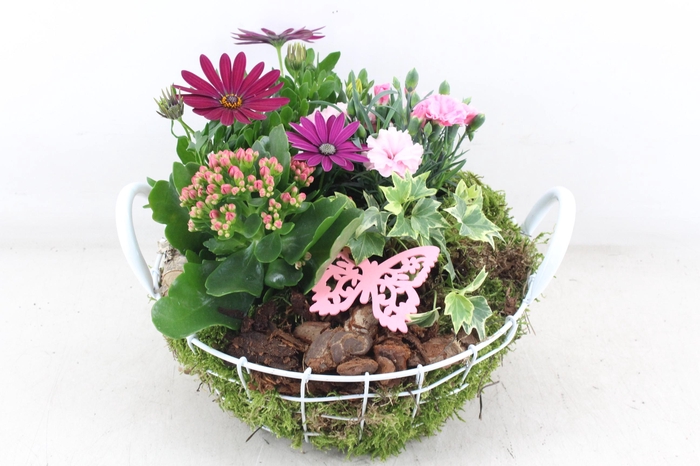 <h4>arr4 Outdoor MB - Draadmand wit</h4>