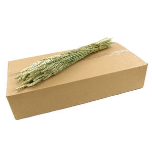 Dried flowers Wheat 70cm (box)