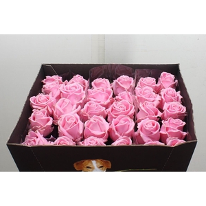 Wax-Rozen Wax Rose w7