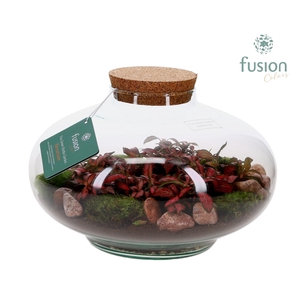 Green Bottle Luna XLarge met Terrarium arrangement