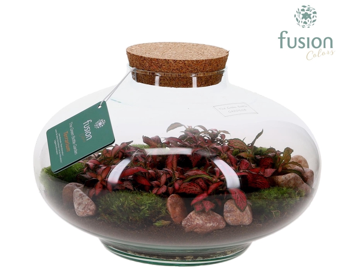 <h4>Green Bottle Luna XLarge met Terrarium arrangement</h4>