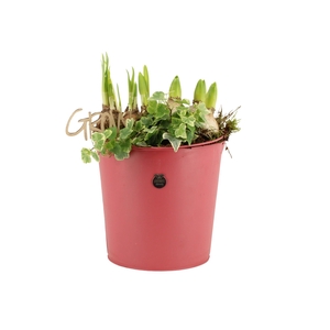 11434: Outdoor spring arrangement