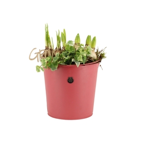 11434: Outdoor spring arrangement