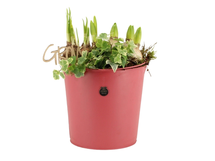 <h4>11434: Outdoor spring arrangement</h4>
