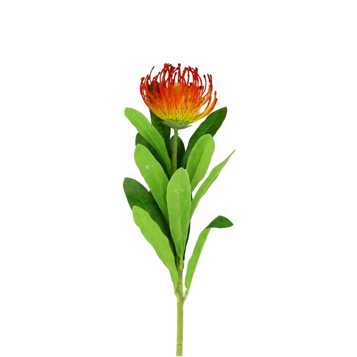 <h4>Artificial flowers leucospermum 66cm</h4>