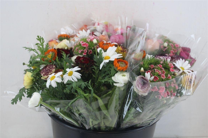 <h4>Boeket Primavera P Bunch</h4>