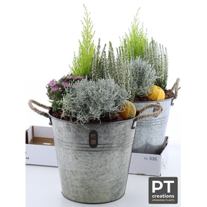 ARR TUINPLANTEN