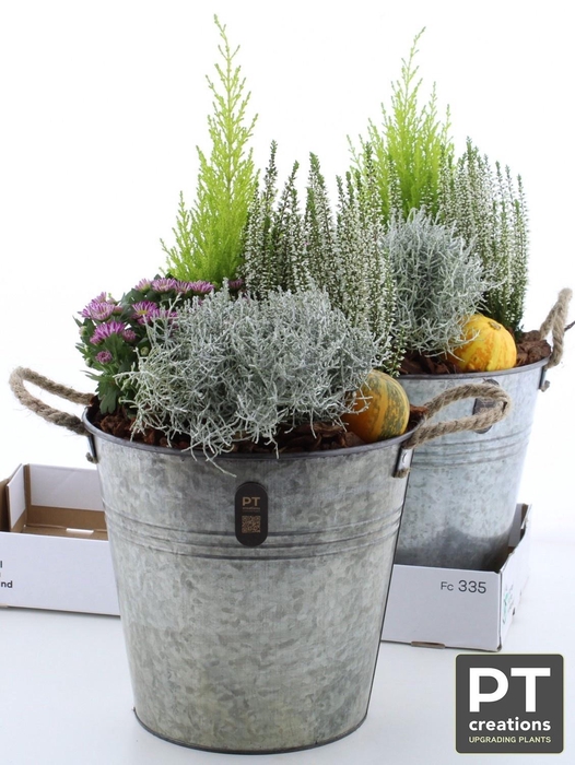 <h4>ARR TUINPLANTEN</h4>