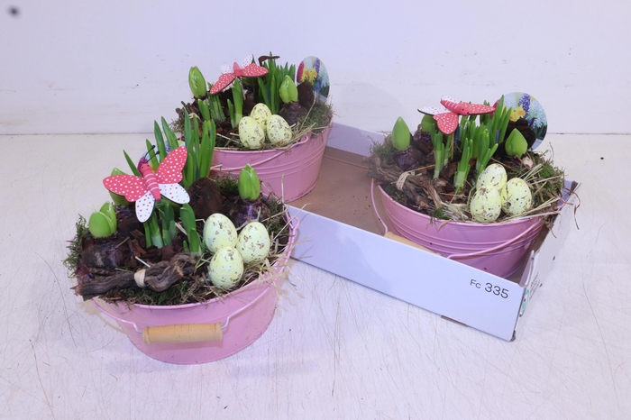 <h4>ARR BOL KNOLGEWAS</h4>