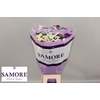 Limonium sinuatum 'Apricot Sun Bir'