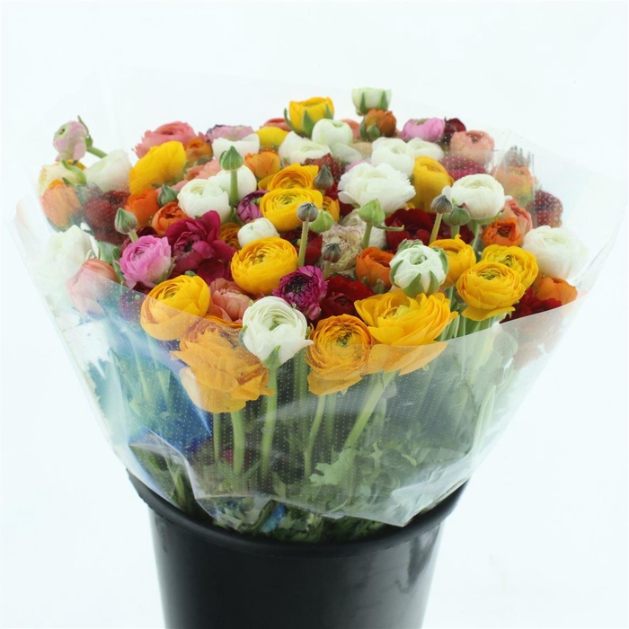 <h4>Ran El Mix In Bunch Extra (sal)</h4>