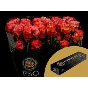 R Gr Free Spirit Box