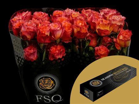 <h4>R Gr Free Spirit Box</h4>