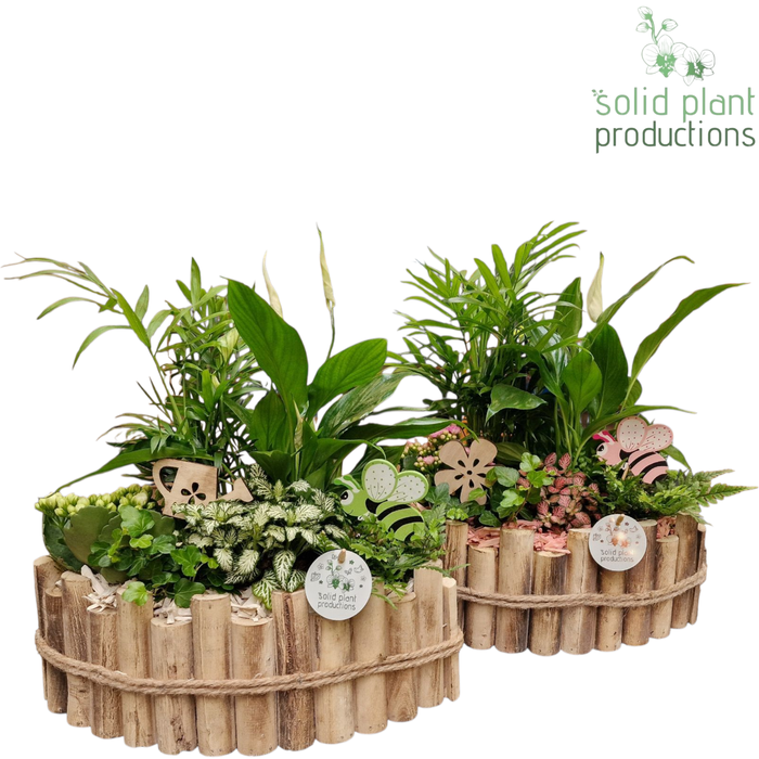 <h4>HSC006 Napoli Large White Pink</h4>