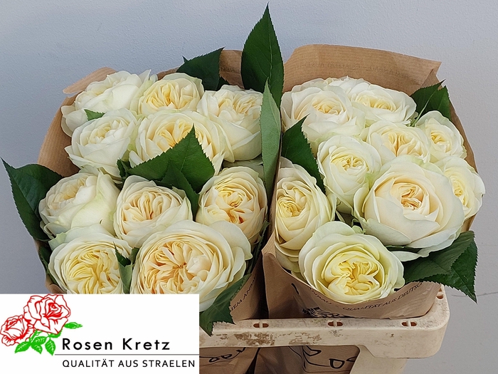 <h4>R GR WEDDING CHAPEL!</h4>