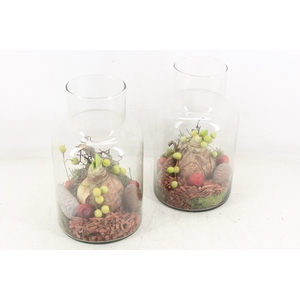 arr4 Amaryllis MB - Glas milano 338/6 RED