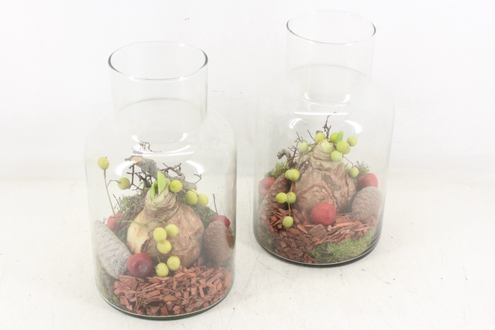 <h4>arr4 Amaryllis MB - Glas milano 338/6 RED</h4>