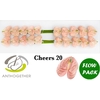 ANTH A CHEERS 20 Flow Pack