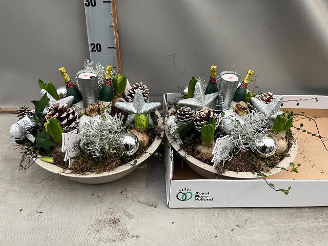 <h4>ARR BOL KNOLGEWAS</h4>