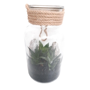 Arr.   Kamerplant Groen L%