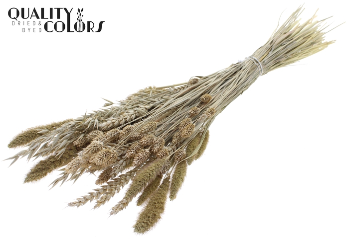 <h4>Dried Flower mix bunch Frosted White</h4>