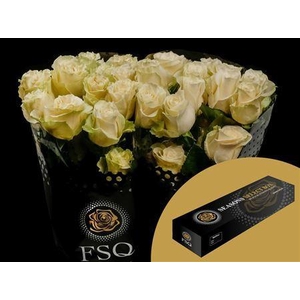 R Gr Mondial Box