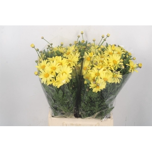 MARGRIET YELLOW PER STEM*