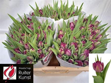 <h4>Tu Du Blue Diamond</h4>