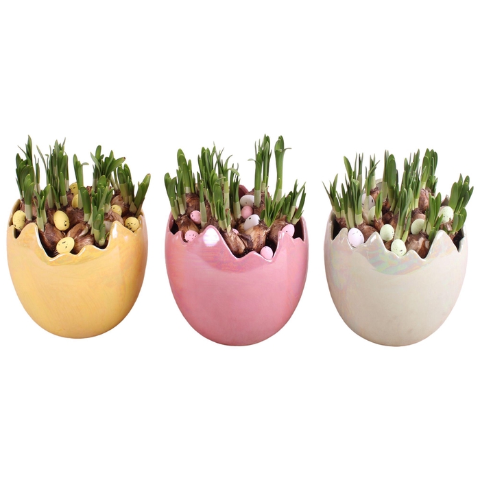 <h4>Easter Arr. Narcis Ceramic Egg Pearl Glazed Ø18cm</h4>