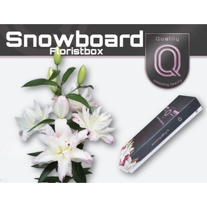 LI OR DU SNOWBOARD FLORISTBOX 5+