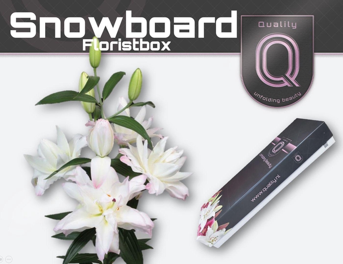 <h4>LI OR DU SNOWBOARD FLORISTBOX 5+</h4>