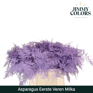 Asparagus 1ste Milka